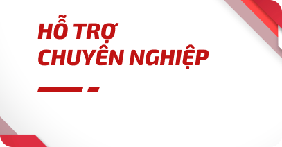 HỖ TRỢ CHUYÊN NGHIỆP